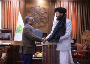Taliban Minister Attaullah Omari and UNDP representative Turhan Saleh shake hands during a meeting on agricultural and livestock development. (Photo Credit: @MAIL_AF)