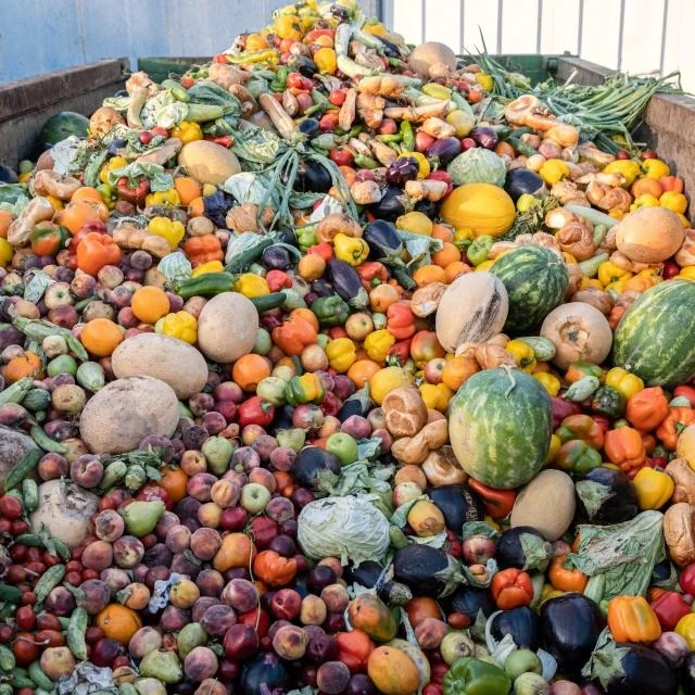 A large pile of discarded fruits and vegetables at a waste collection site (Photo: usda)