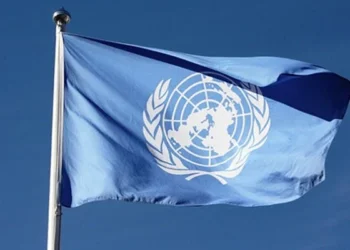 The UN flag (Photo: Wikipedia)