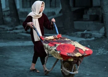 A young Afghan girl pushes a wheelbarrow carrying household belongings through a street (Photo: AFP) 