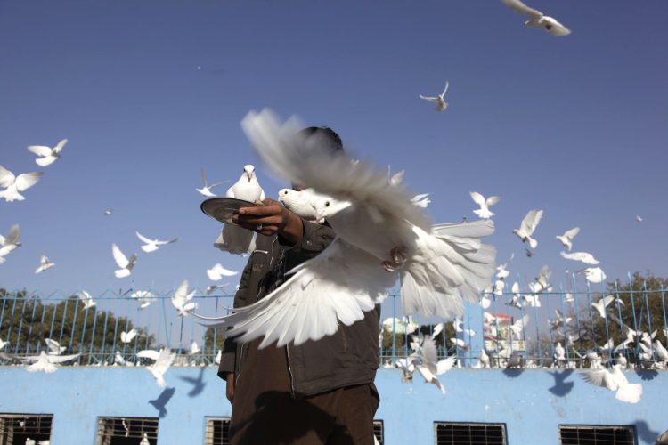 Photo: UNAMA/Flickr
