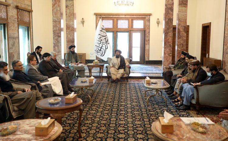 Taliban FDPM