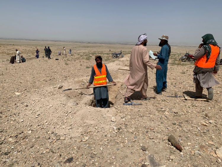 Ghazni Department of Agriculture