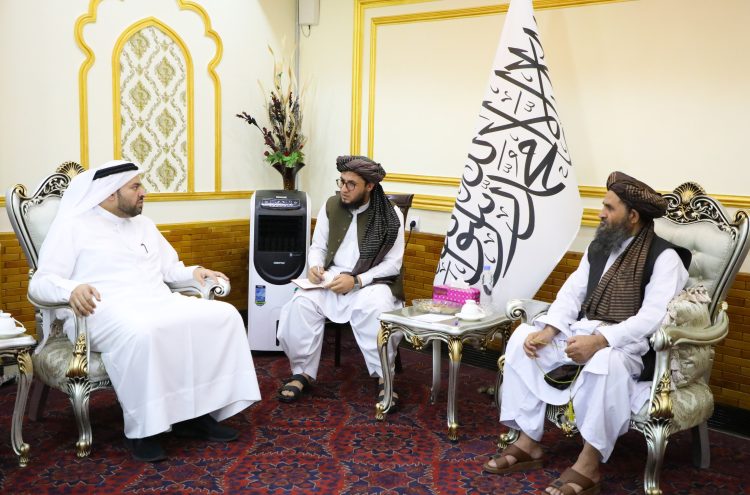FDPM_AFG