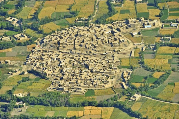 wikippedia