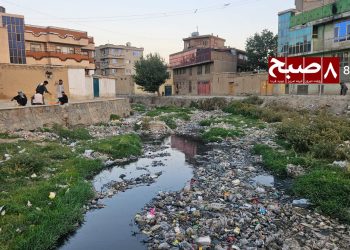 نبود سطل زباله در کابل؛ چالش تکراری یا مدیریت ناکام طالبان