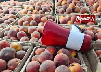 آلوده‌گی صوتی در کابل؛ دست‌فروشان و طالبان آرامش مردم را می‌ربایند