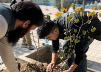 نهال‌شانی؛ درخواست شهروندان برای هوای پاک و آینده‌ای سبز