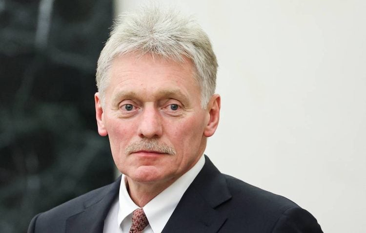 Russian Presidential Press and Information Office/TASS