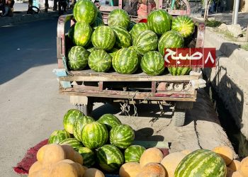افزایش تولید و سقوط قیمت؛ رکود بازار تربوز و خربوزه در افغانستان