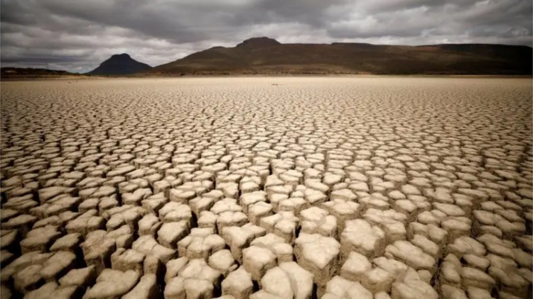 REUTERS