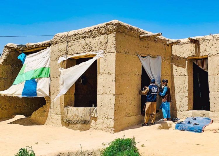 UN-Habitat