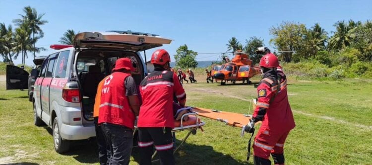 ‏IFRC/X