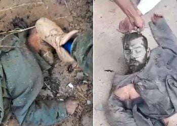 واکنشها به بیحرمتی به اجساد کشتهشدهگان؛ این اقدام طالبان بهعنوان جنایت جنگی بررسی شود