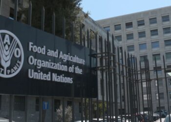 فائو: حفظ قیمت مناسب مواد غذایی برای مقابله با گرسنه‌گی ضروری است