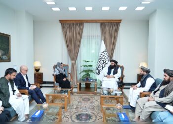 متقی با رییس عملیاتی کمیته بینالمللی صلیب سرخ دیدار کرد