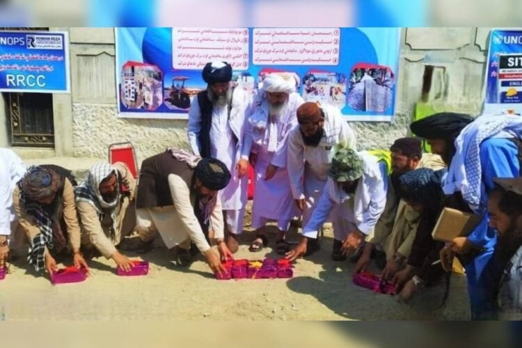 bnadari1@