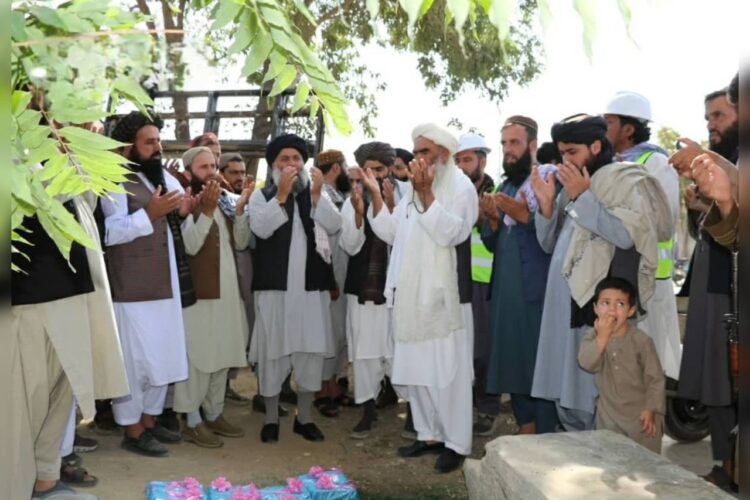 bnadari1@