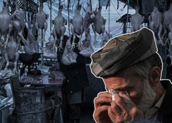 خودکفایی ادعایی طالبان در تولید گوشت مرغ؛ قیمت‌ها همچنان برای مردم بلند است