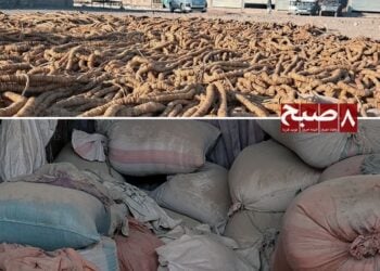 بسته‌شدن مسیرهای پاکستان؛ بازرگانان و دهقانان حوزه جنوب: نه راه بدیل است، نه بازار
