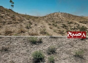 غزنی زیر فشار فقر و کمبود سوخت؛ بوته‌کنی پوشش گیاهی و چراگاه‌ها را تهدید می‌کند