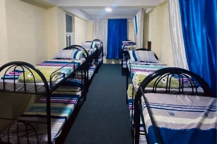 Social Media