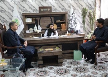 شرکت روسی برای سرمایه‌گذاری در بخش زراعت افغانستان اعلام آماده‌گی کرد