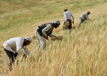 فایو از احتمال افزایش بارندهگی و خطر سیلاب در افغانستان خبر داد