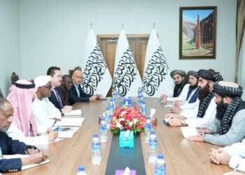 متقی با معاون دبیرکل سازمان همکاری اسلامی دیدار کرد