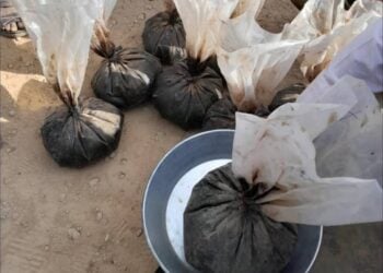 درگیری میان طالبان بر سر محموله تریاک در هلمند؛ ۱۱ جنگ‌جو کشته شدند