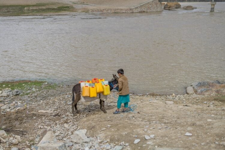 @UNICEFAfg