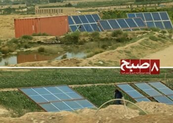 استخراج بی‌رویه آب با انرژی آفتابی؛ تهدیدی برای چاه‌ها و کاریزهای میدان وردک