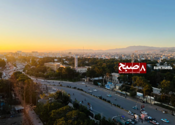 منابع: مدیر مبارزه با مواد مخدر هرات با وجود اسناد فساد بازداشت نشد