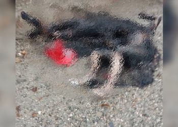 د مرموزو وژنو دوام؛ په ننګرهار کې د دوو کسانو سوځول شوي مړي وموندل شول
