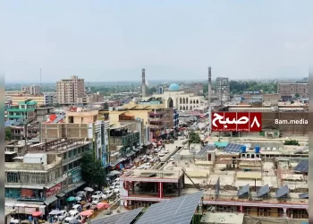 په خوست کې د خپلو وروڼو له خوا د یوې نجلۍ وژنه؛ عاقله په شپږو میاشتو کې درې ځله کوژدن شوې وه