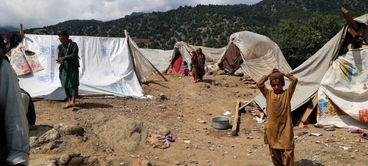 UNOCHA