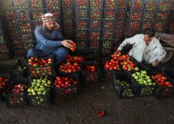د افغانستان او پاکستان ترمنځ د سوداګریزو لارو بندېدل؛ دواړو لورو ته د توکو بیې لوړې شوې
