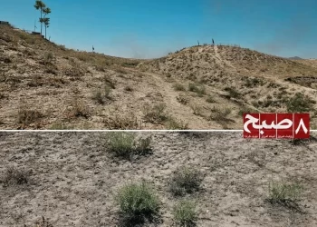 غزني د بې‌وزلۍ او د سون توکو د کمښت تر فشار لاندې؛ د بوټو له رېښو را اېستل طبیعي پوښښ او څړځایونه ګواښي
