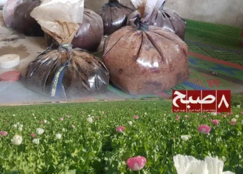 په هلمند کې د تریاکو لوی بازارونه؛ د طالبانو قوماندانان یې په کرکیله او پېر او پلور کې ونډه لري