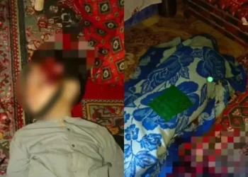 په کاپیسا کې د وسله والو کسانو له خوا د یوې کورنۍ څلور غړي ووژل شول