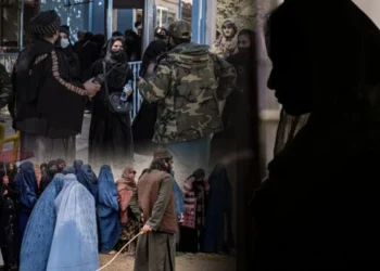 یوناما: د طالبانو محتسبانو د خپل‌سرو نیونو ۴۴۳ پېښې ثبت کړې دي