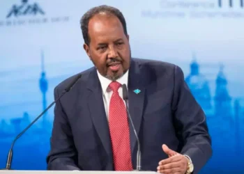 د سومالیا ولسمشر حوثیان د سیمې پر بې‌ثباته کولو تورن کړل