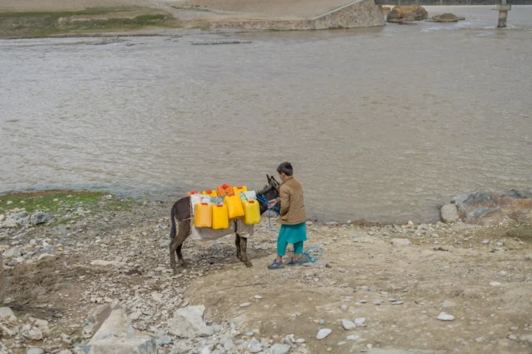 @UNICEFAfg