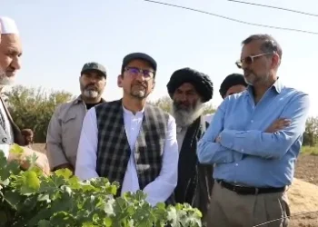 ملګري ملتونه: وچکالۍ او د مرستو کمېدو افغانستان له جدي ننګونو سره مخ کړی